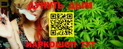 прущие крисы Новозыбков
