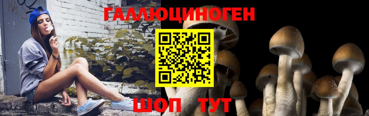 Галлюциногенные грибы мицелий  Вход с VPN  Кореновск 