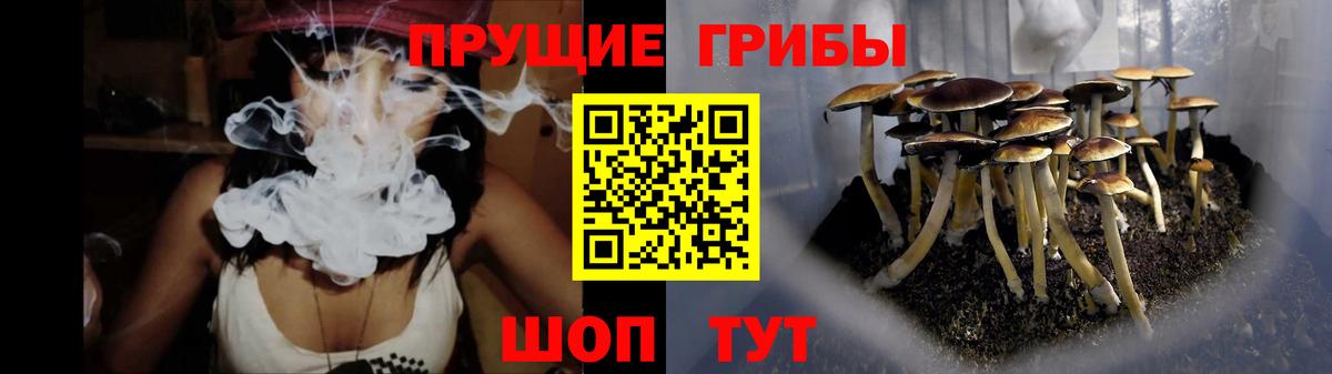 Галлюциногенные грибы ЛСД Кореновск